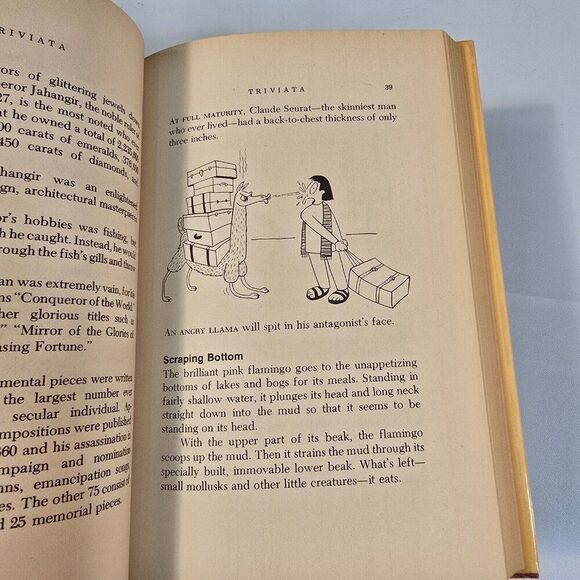 Triviata: A Compendium of Useless Information By Timothy T. Fullerton 1975 HC - Picture 7 of 10